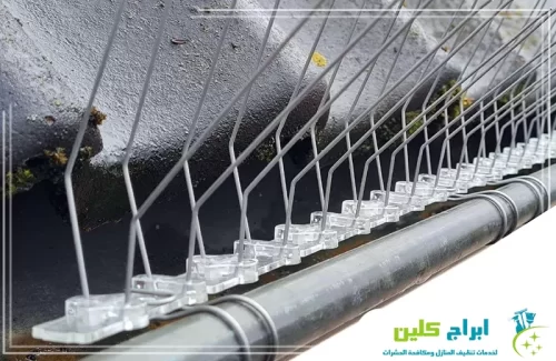 شركة مكافحة الطيور والحمام جدة 0550234190 ابراج كلين نرى هنا نوعاً مختلفاً من طارد الحمام يتميز بقاعدة بلاستيكية شفافة ومرنة، وهي مثبتة على حواف السقف