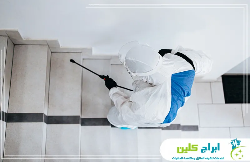 افضل شركة مكافحة حشرات بجدة افضل شركة مكافحة حشرات بجدة