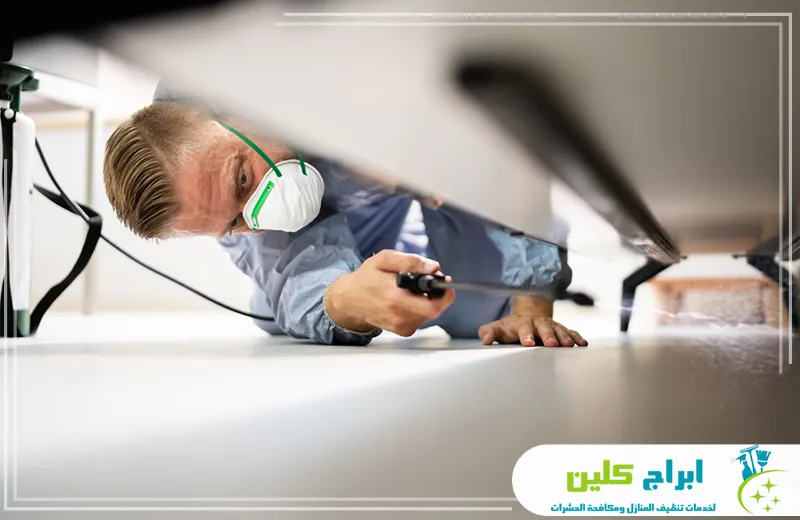 مكافحة البعوض بجدة مكافحة البعوض بجدة