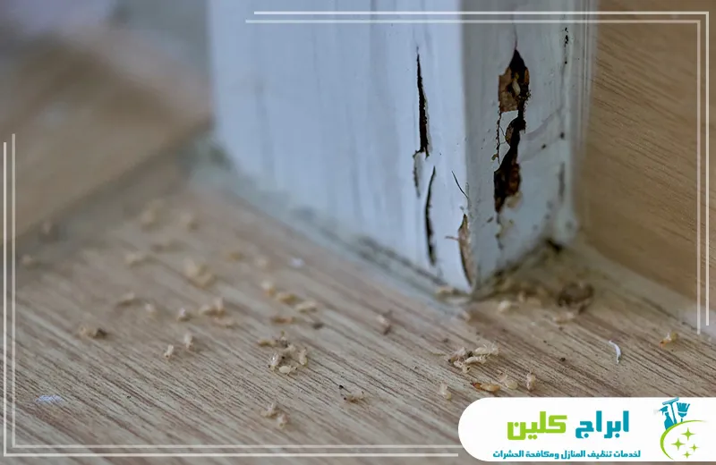 ادوات شركة مكافحة النمل الابيض بجدة شركة مكافحة النمل الابيض بجدة