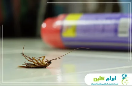 10 نصائح التخلص من حشرات المنزل