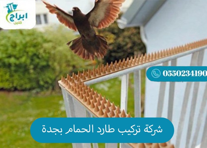شركة تركيب طارد الحمام بجدة