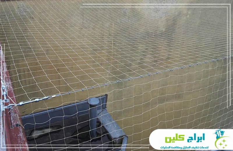 شركة مكافحة الحمام بجازان