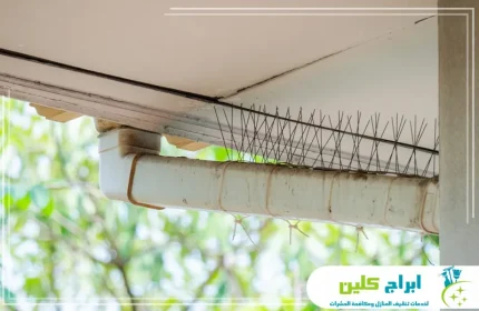 شركة تركيب طارد الحمام بالدمام