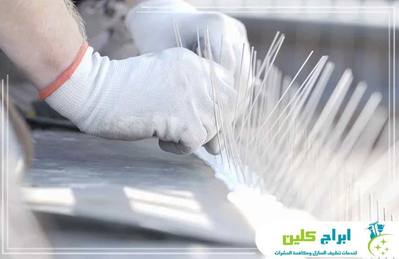 افضل شركة مكافحة االحمام بجازان