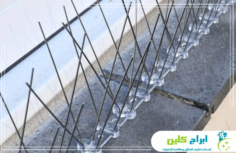 شركة تركيب طارد الحمام بجازان