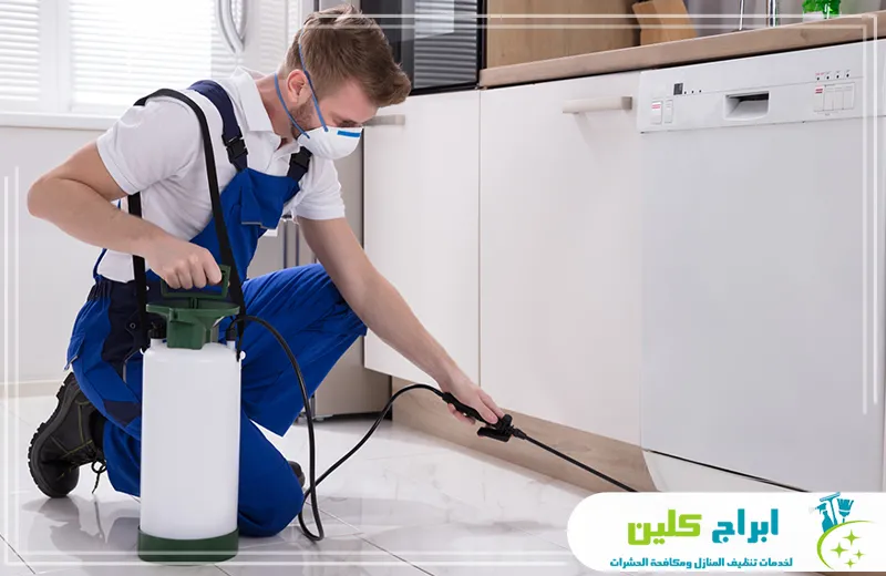 شركة مكافحة حشرات بجازان