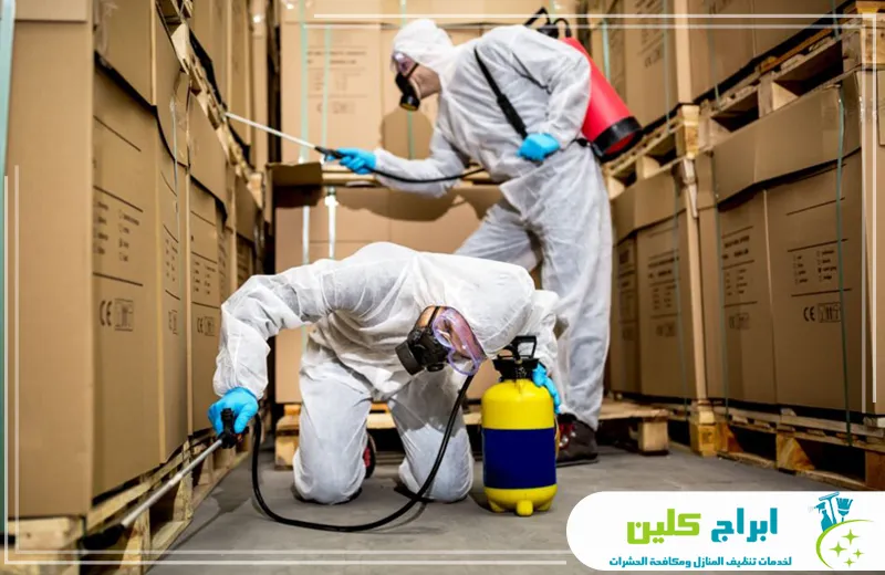 شركة مكافحة حشرات بالدمام