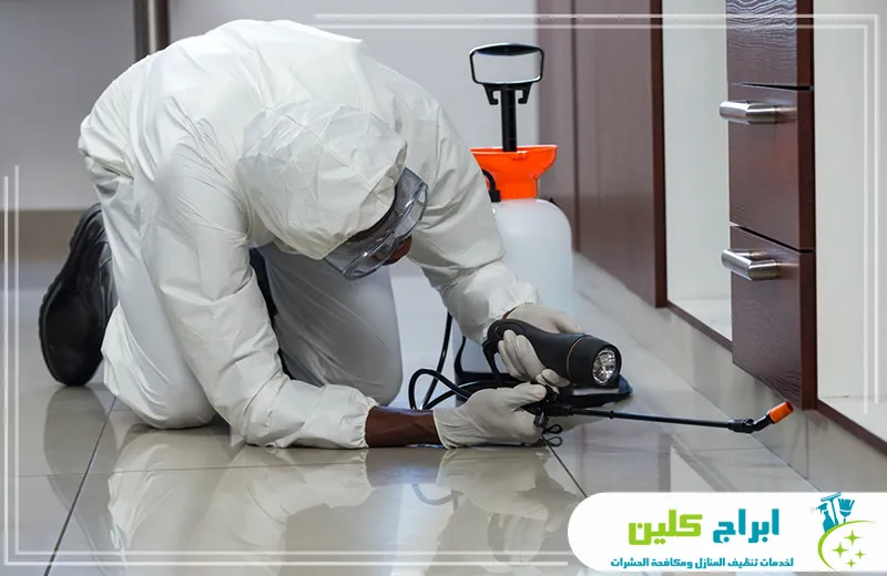 افضل شركة مكافحة حشرات بجازان افضل شركة مكافحة حشرات بجازان