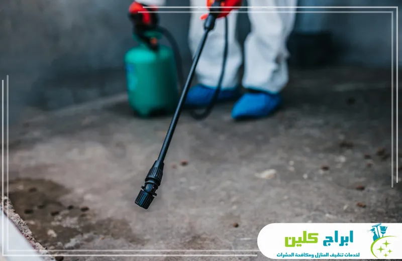 شركة مكافحة الفئران بالدمام شركة مكافحة الفئران بالدمام