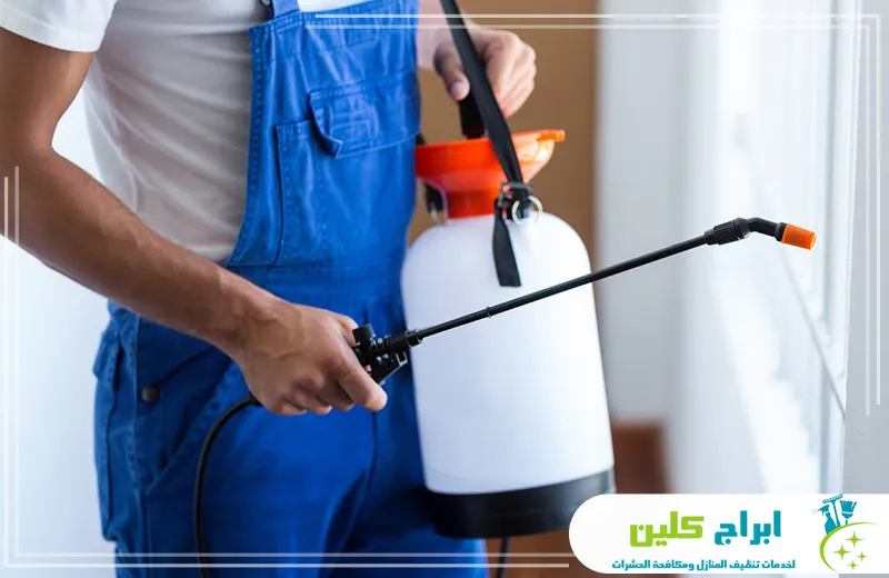خبير حشرات بجازان  خبير حشرات بجازان