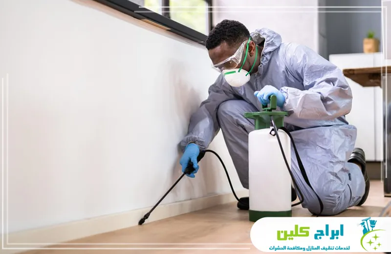 شركة رش حشرات بالدمام شركة رش حشرات بالدمام