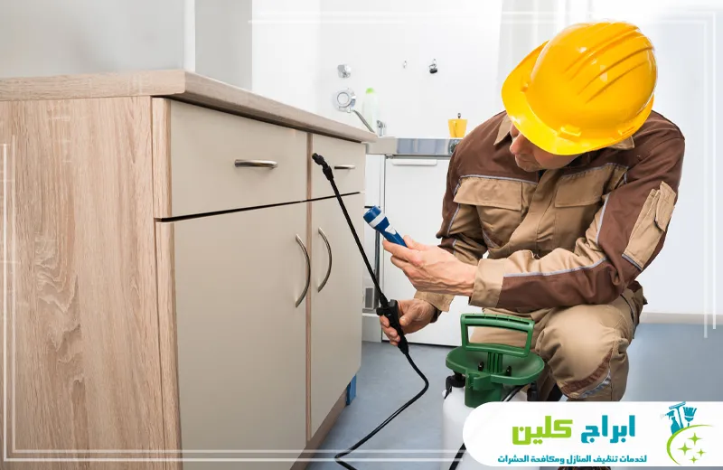 رش حشرات بجازان رش حشرات بجازان