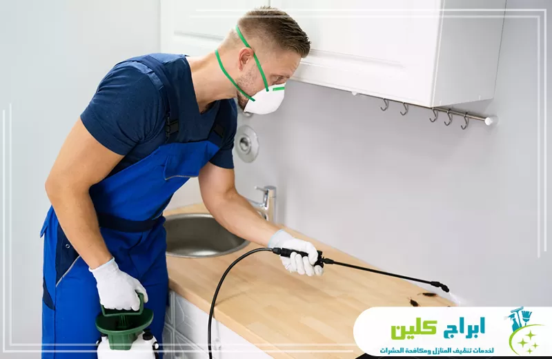 شركة مكافحة حشرات بابوعريش