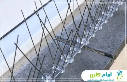 تركيب سلك طارد الحمام بصامطة 0550234190 شركة ابراج كلين تظهر مجموعة من الأشواك المعدنية الطويلة والرفيعة، وهي مثبتة بزوايا مائلة ومتقاطعة لتغطية أكبر مساحة ممكنة ومنع هبوط الطيور.