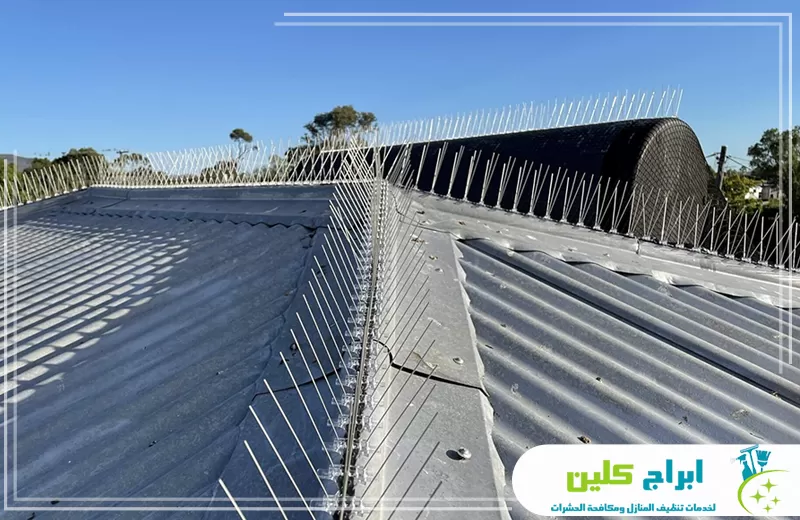 شركة تركيب طارد حمام بصبيا