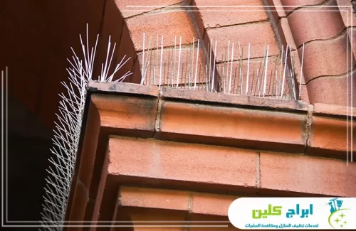 تركيب شبك الحمام بابو عريش 0550234190 شركة ابراج كلين تركيب أشواك ستانلس مقاومة للصدأ بأعلى معايير الجودة لحماية الواجهات.