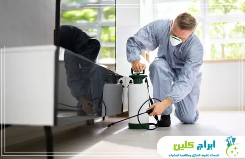 شركة مكافحة النمل الأبيض بصبيا معتمدة 0550234190 شركة ابراج كلين فني متخصص يستخدم مبيدات آمنة تماماً على الصحة وبدون مغادرة المنزل