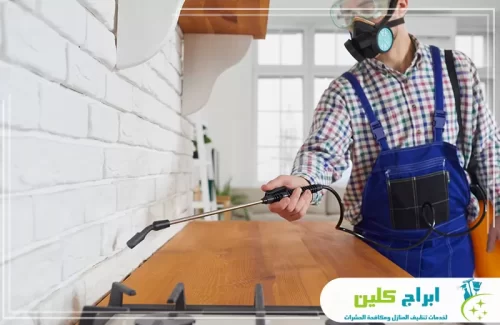 شركة مكافحة الفئران بصبيا 0550234190 شركة ابراج كلين دقة متناهية في الوصول لأصعب الزوايا وأوكار الحشرات المخفية لضمان إبادة شاملة