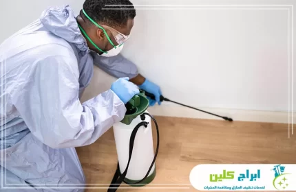 شركة مكافحة حشرات بصامطة